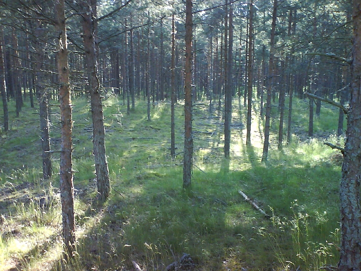 2009_LV_LT_SV_D 060